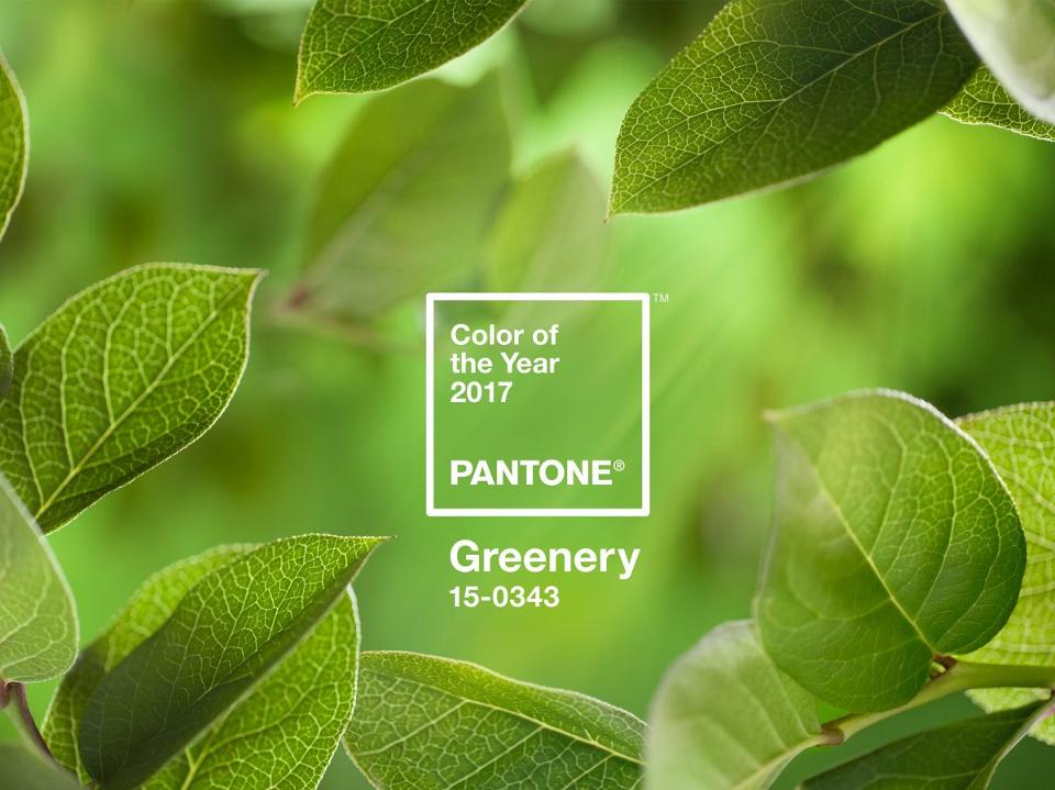PANTONE Color of the Year 2017
